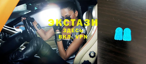 гидра Няндома