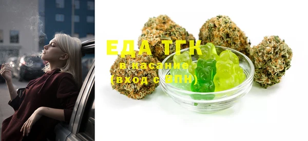 индика Нягань