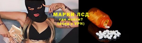 индика Нягань