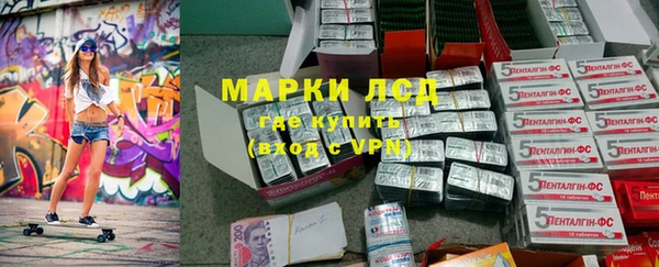 гидра Няндома