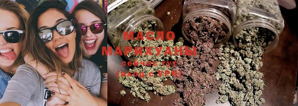 индика Нягань