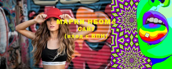 гидра Няндома