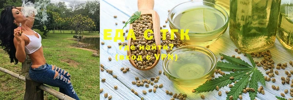 индика Нягань