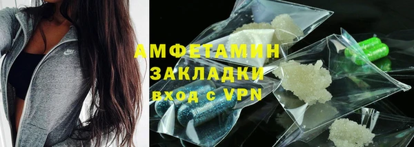 индика Нягань