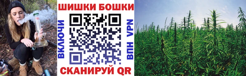 Каннабис сатива Майкоп